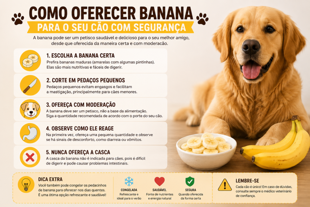 Como oferecer banana para cães com segurança