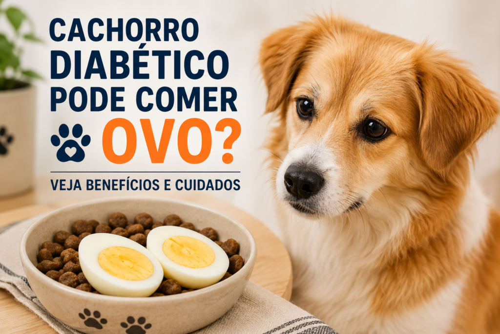 Cachorro diabético pode comer ovo cozido
