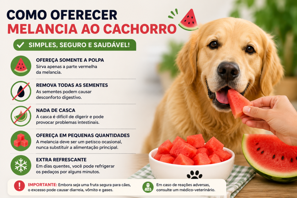 Cuidados ao oferecer melancia para cachorro e situações em que a fruta deve ser evitada 🍉🐶