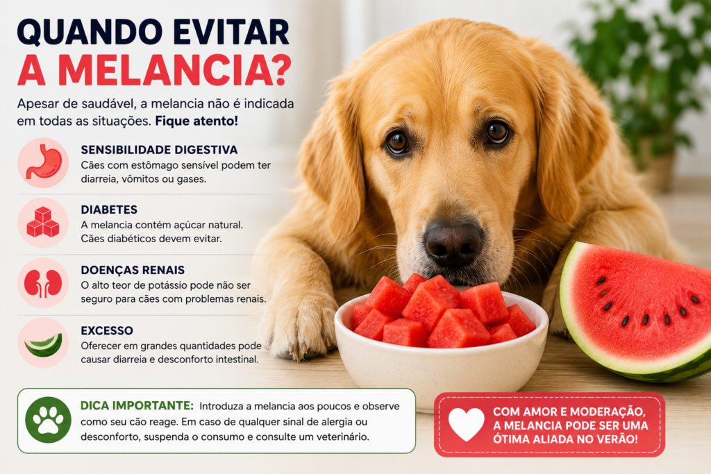 Como oferecer morango ao cachorro de forma segura e em pequenas quantidades 🍓🐶