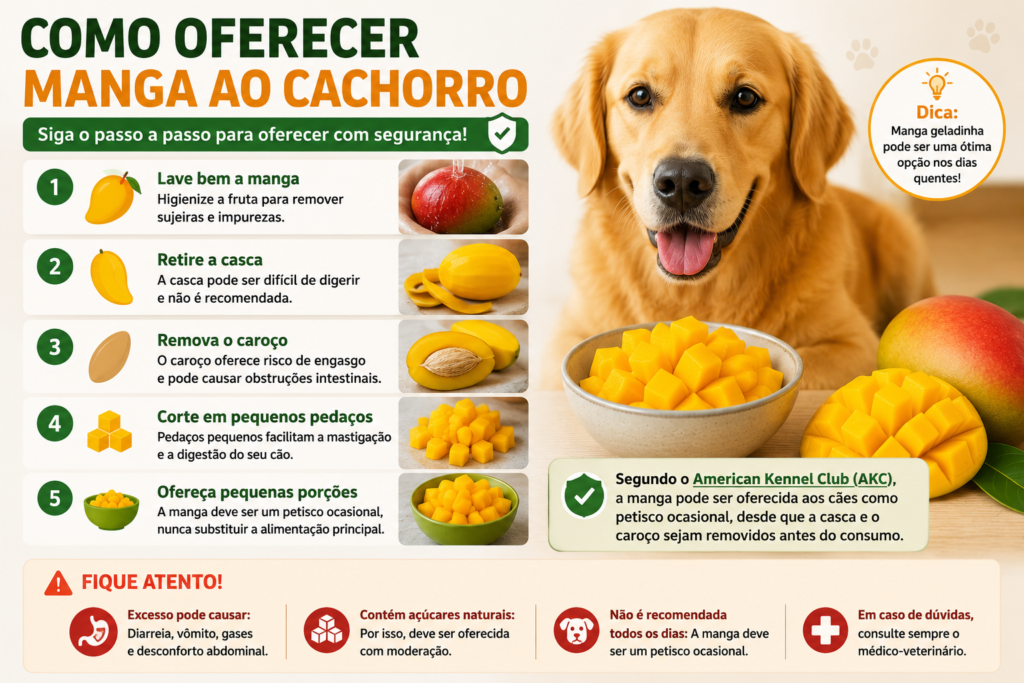 Como oferecer manga ao cachorro de forma segura sem casca e sem caroço 🥭🐶