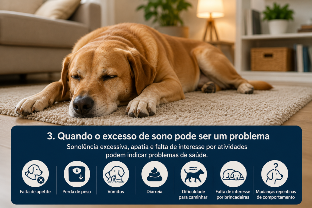 Cachorro com sonolência excessiva que pode indicar problemas de saúde
